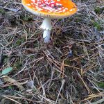 Foto0118