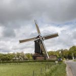 molen-en-gemalendag-2013-den-olden-florus-54-1500px